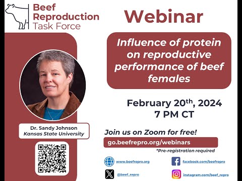 BRTF Spring Webinar - Influence of protein on reproductive performance of beef females