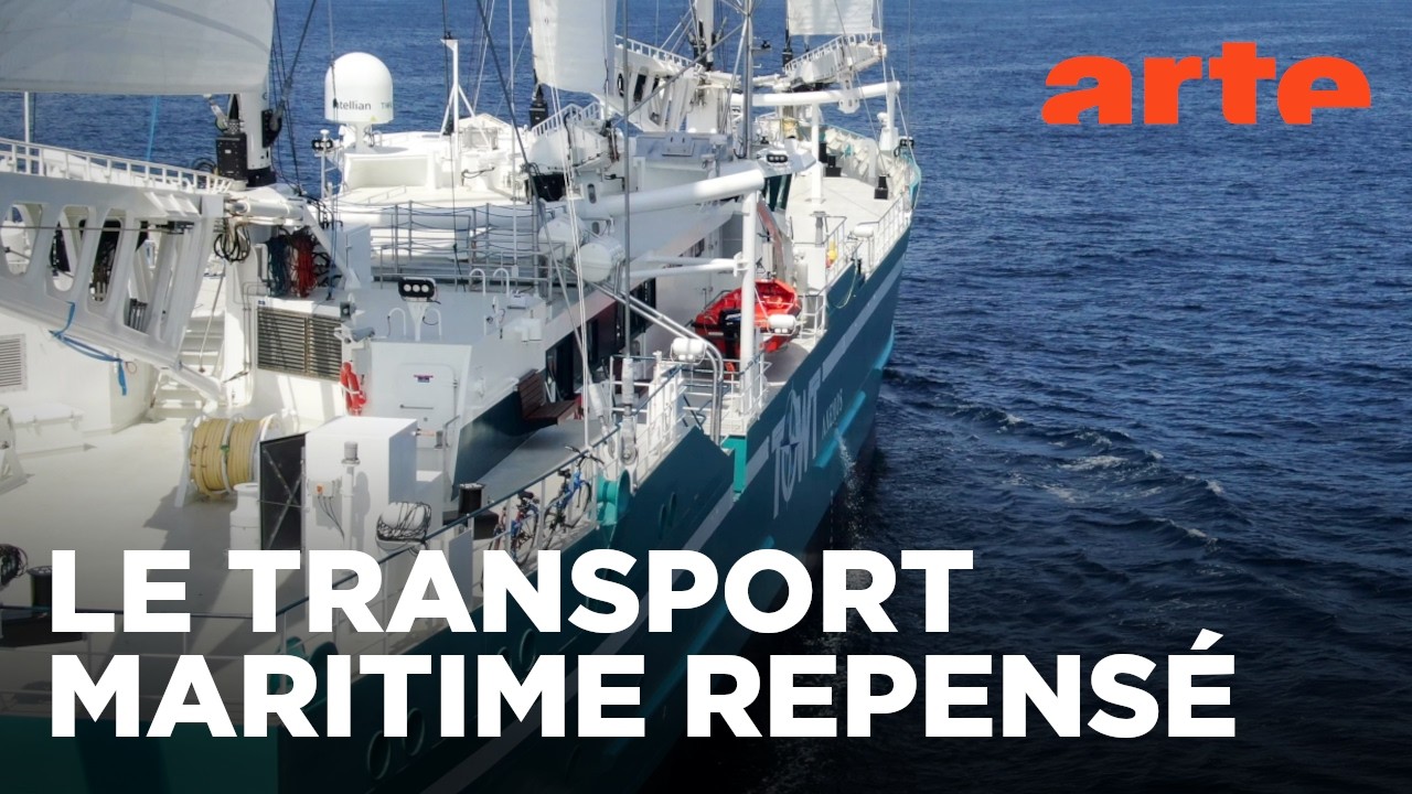 Les cargos à voile, un transport dans le vent | ARTE