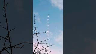 - 【男性が歌う】晴る(ヨルシカ)- Covered by sawa