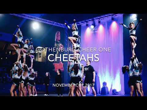 GCO Cheetahs 17/18