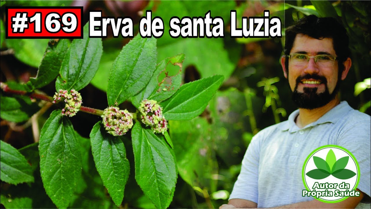 Autor da Própria Saúde - Erva de Santa Luzia [Alergia, febre, diabetes, ansiedade, câncer]