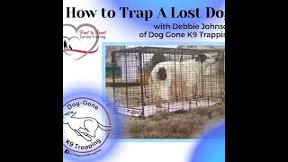How to Trap a Lost Dog with Debbie Johnson