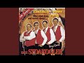 Stoakogler Hitmix ('97)