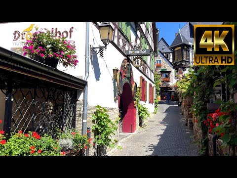 RÜDESHEIM am RHEIN - Stadtrundgang 🇩🇪 (4K)