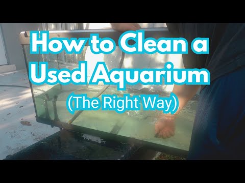 Cleaning a Used Aquarium: The RIGHT Way