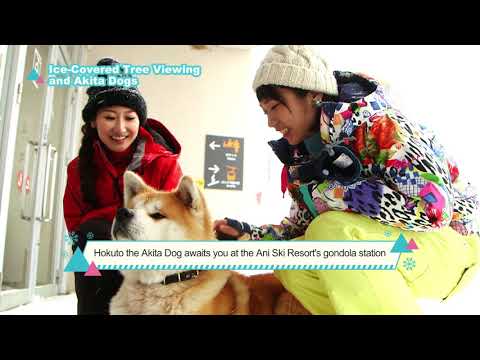 Ice-Covered Tree Viewing and Akita Dogs 90sec Ver.（English subtitles）