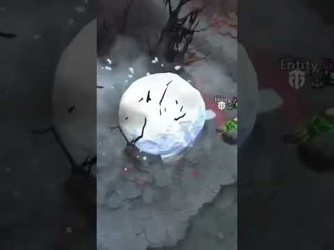 Boxi with the tusk plays ❄️