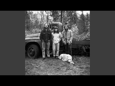Cats And Dogs - Surf Hat