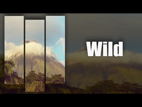 Normani X Kehlani Type Beat | Hip Hop RnB | "Wild"