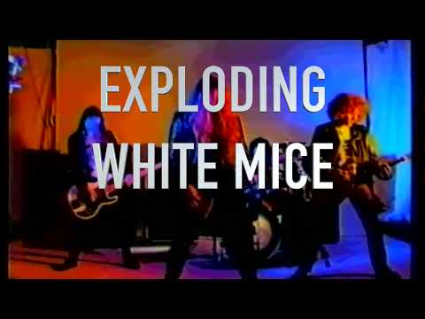 EXPLODING WHITE MICE And Stay Out (Official Video)