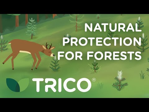 TRICO® protecting your crops against deer browse in forestry