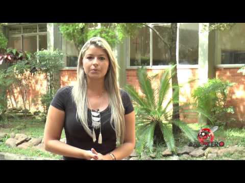 Ulbra engajada na Campanha #ZikaZero