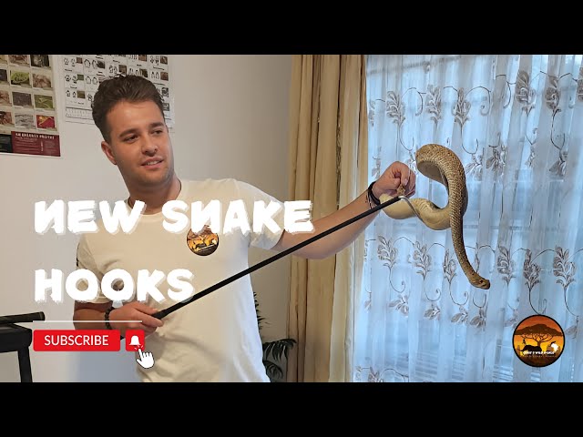 Judge.me YouTube video placeholder