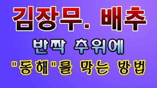 [텃밭농부.848]  김장 무. 배추 반짝 추위에 동해를 막는 방법 #김장무재배