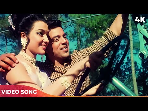 Mohammed Rafi Song : तुम्हारे प्यार में हम, शिकार करने को आए 4K | Dharmendra, Asha Parekh | Shikar