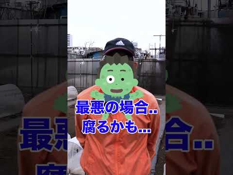 屋内で種子から段階的に播種するにはどうすればよいですか？  庭園