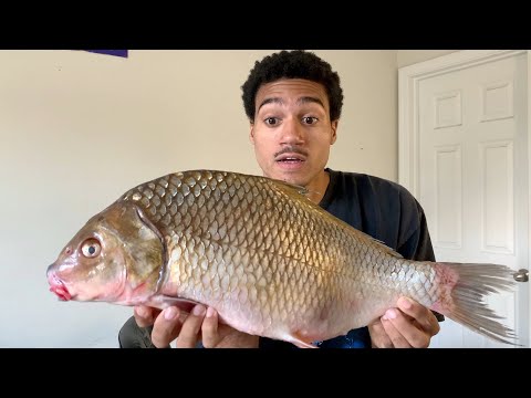 90% Of People Don't Know This TRASH FISH Is Actually Good