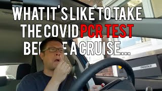 What it's like to take the covid PCR test before a CRUISE