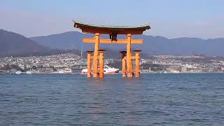 海上から宮島の大鳥居に接近して眺める！JR宮島フェリー「大鳥居便」 - Miyajima O-Torii Gate