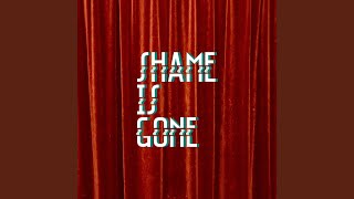 The Max Meser Group - Shame Is Gone video