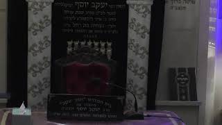 בית המדרש חזון יעקב • יום רביעי  כב' אדר תשפ'ו (בית הכנסת מוסאיוף) - התמונה מוצגת ישירות מתוך אתר האינטרנט יוטיוב. זכויות היוצרים בתמונה שייכות ליוצרה. קישור קרדיט למקור התוכן נמצא בתוך דף הסרטון