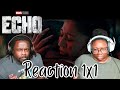 Echo 1x1 (Chafa) | Reaction