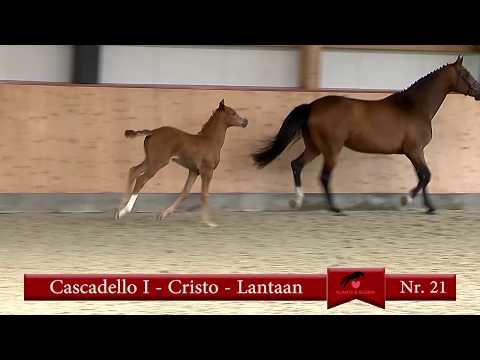 21. Cascadello I - Cristo