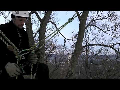 YouTube Thumbnail FF-6S4IvMww