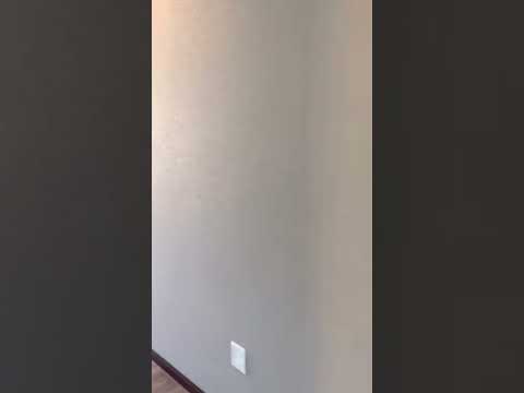 236 Stumer - Video 2 of 2