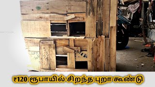 How to make a pigeon cage at low budget  tamil  ma