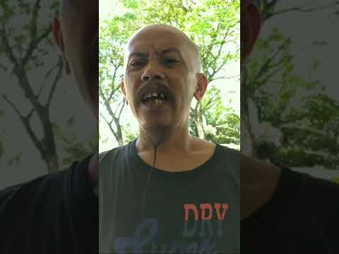 belacan-ucoxbongax-shorts