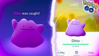 CATCHING A WILD DITTO IN POKEMON GO! HOW TO CATCH A DITTO!