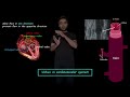 0D Modeling Of Valves In The Cardiovascular System