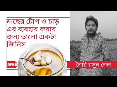 How to Make Garlic Confit and Homemade Garlic Oil // Fishing Bait //Catla fish // Rui fish