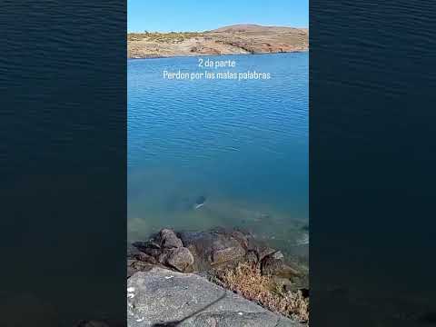 pesca con señuelos Camarones Chubut