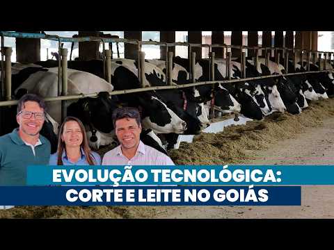 Pecuária eficiente do centro-sul goiano fortalece economia do estado | Noticiário Tortuga