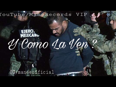 Panchito Arredondo Ft. Banda Cerro Azul - Y Como La Ven ? (Corridos En Vivo 2017)