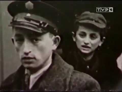 Żydzi  Kapo by Tor Ben Mayor, Dan Setton Lektor PL