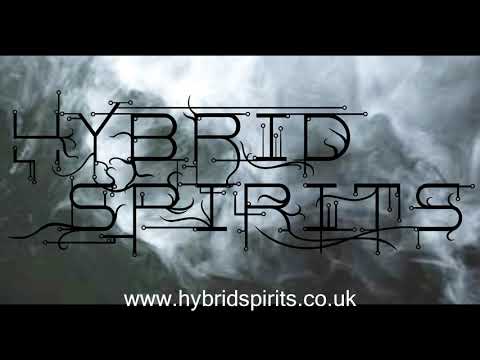 Eyes Without A Face (Billy Idol cover) - Hybrid Spirits