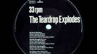 The Teardrop Explodes   Ouch Monkeys