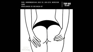 PURI, JHORRMOUNTAIN, ADJE Vs. JAN LEYK, MUREKIAN - COñO (KRASILNIKOV SK SOS MASH-UP)