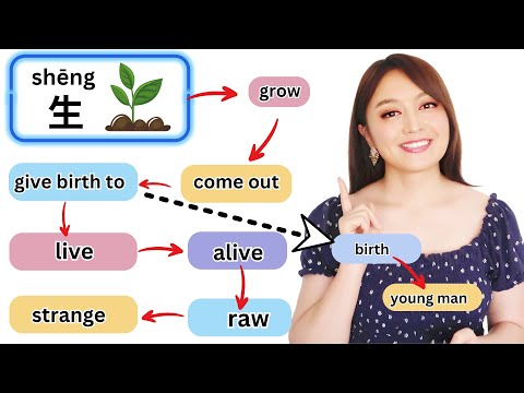 Understand the Logic of Chinese Language and Learn Faster and Smarter