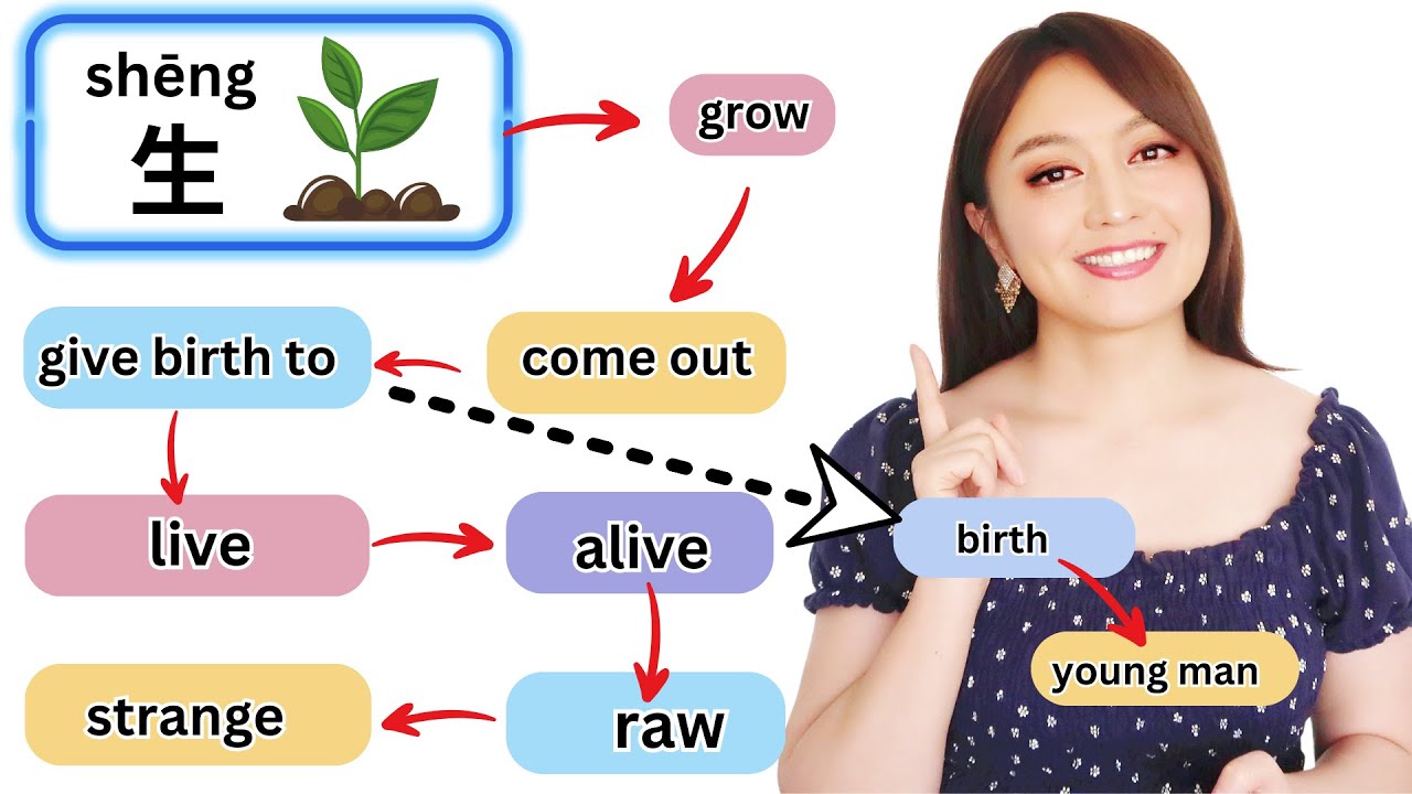 Understand the Logic of Chinese Language and Learn Faster and Smarter