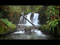 The Forest Waterfall HD - The Calming Sound of Water