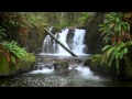 The Forest Waterfall HD The Calming Sound Of Water