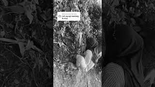 Download lagu cewe ber hijab muntah suara kencang mp3