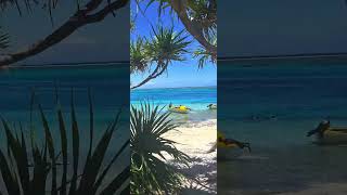 Mystery Island Tour, Vanuatu, South Pacific Cruise #vanuatu #paradise #cruise #vacation #holiday
