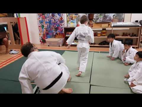 Toddler Judo Class
