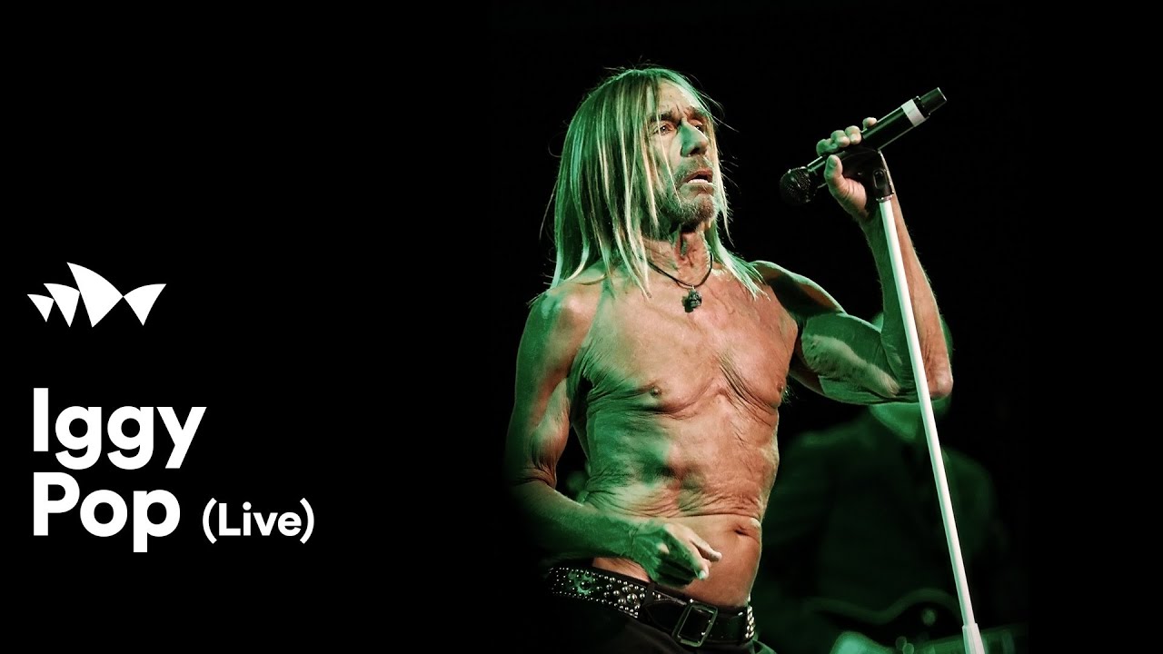 Iggy Pop | Live at Sydney Opera House