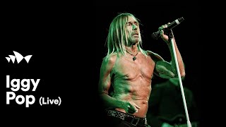 Iggy Pop | Live at Sydney Opera House